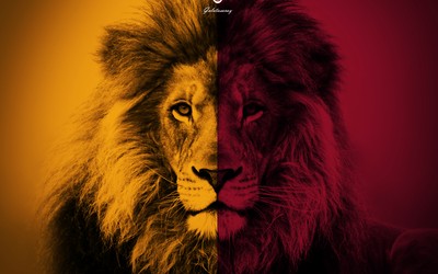 金博电竞独家-佩里西奇凌空撩射稍稍高出